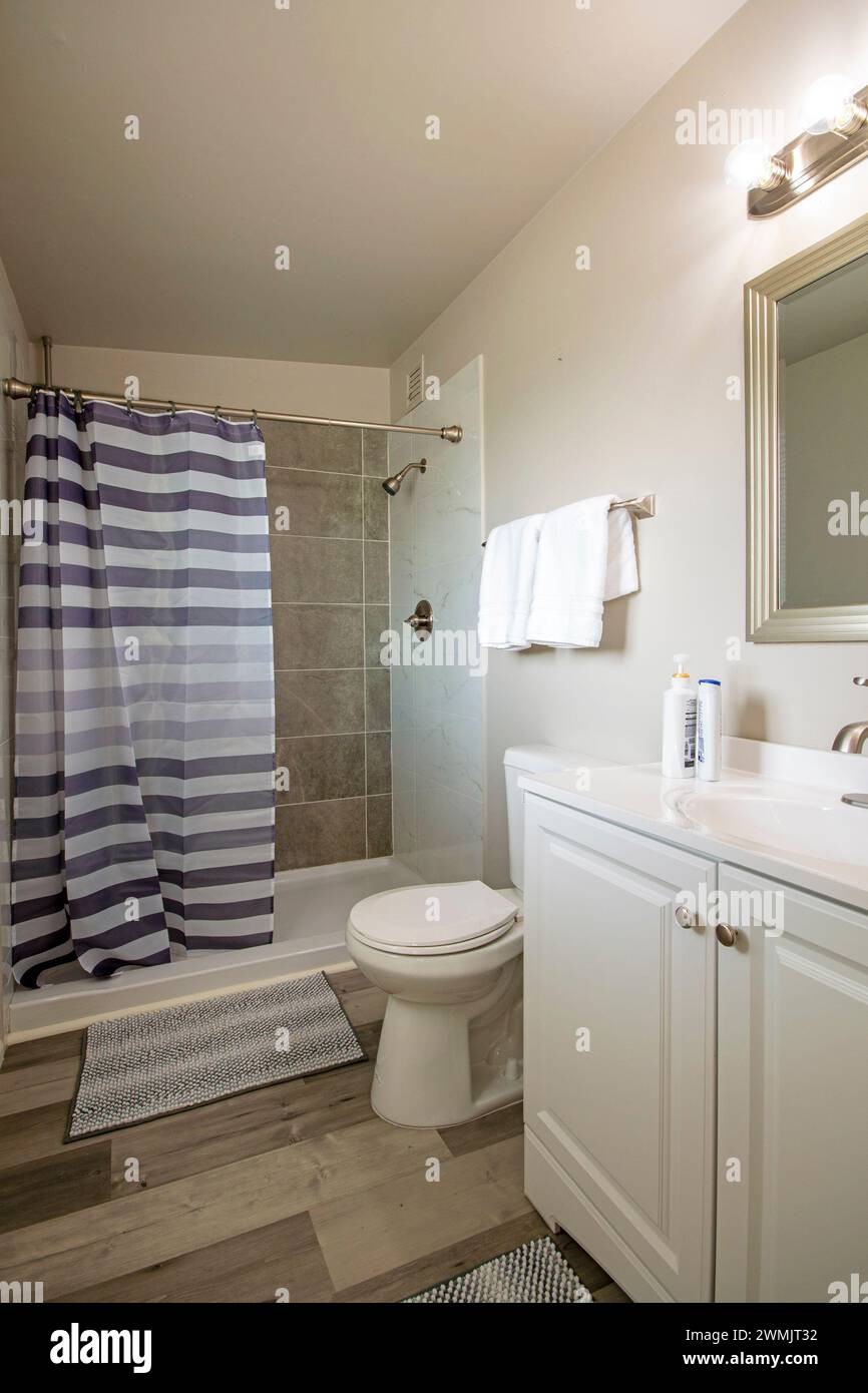 Interni arredati in stile americano di lusso in Arizona Foto Stock