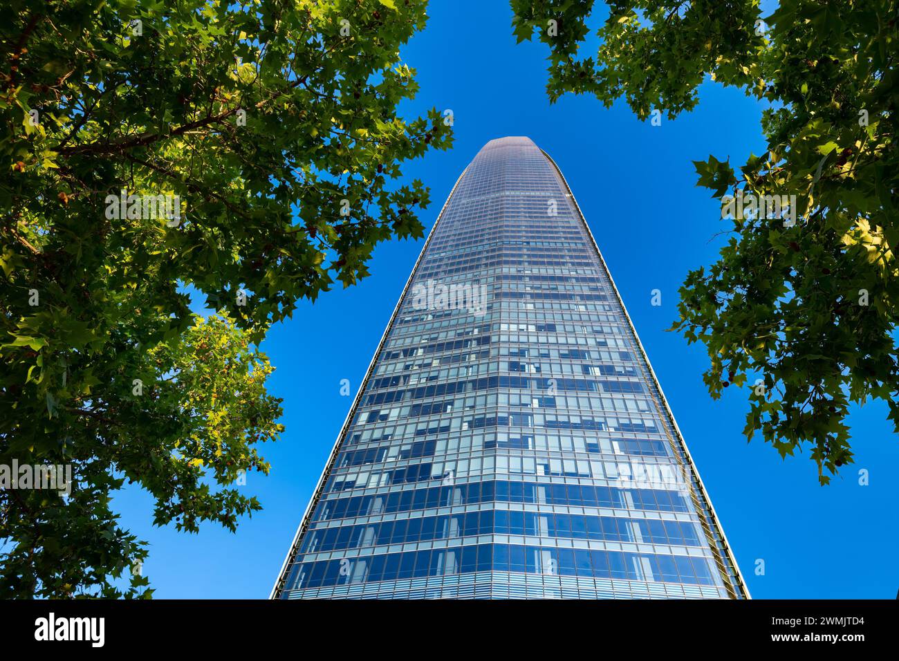 Vista della Gran Torre Santiago, l'edificio più alto dell'America Latina, un grattacielo alto 64 piani parte del Costanera Center. Foto Stock