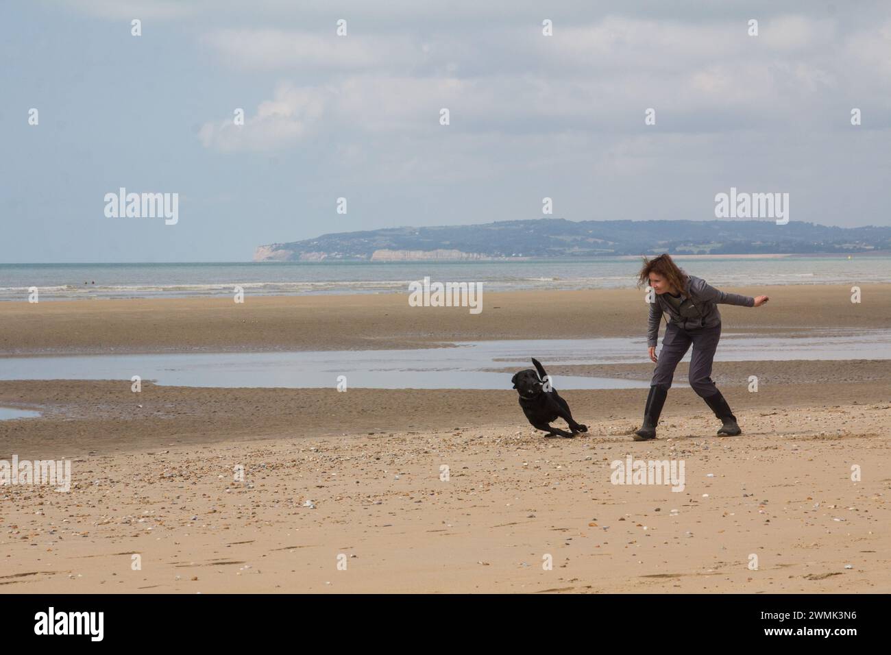 Signora di mezza età e cane labrador nero che si diverte a inseguire una palla sulla spiaggia Foto Stock