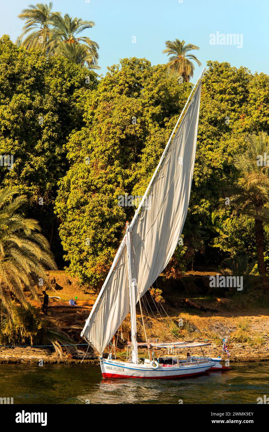 Felucca lungo le rive del Nilo, Egitto Foto Stock