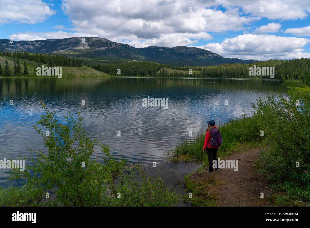 Donna in piedi sulla costa dei laghi nascosti durante l'estate; Whitehorse, Yukon, Canada Foto Stock