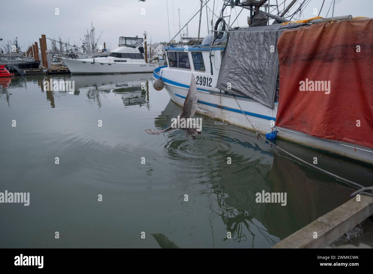 Dock Foto Stock