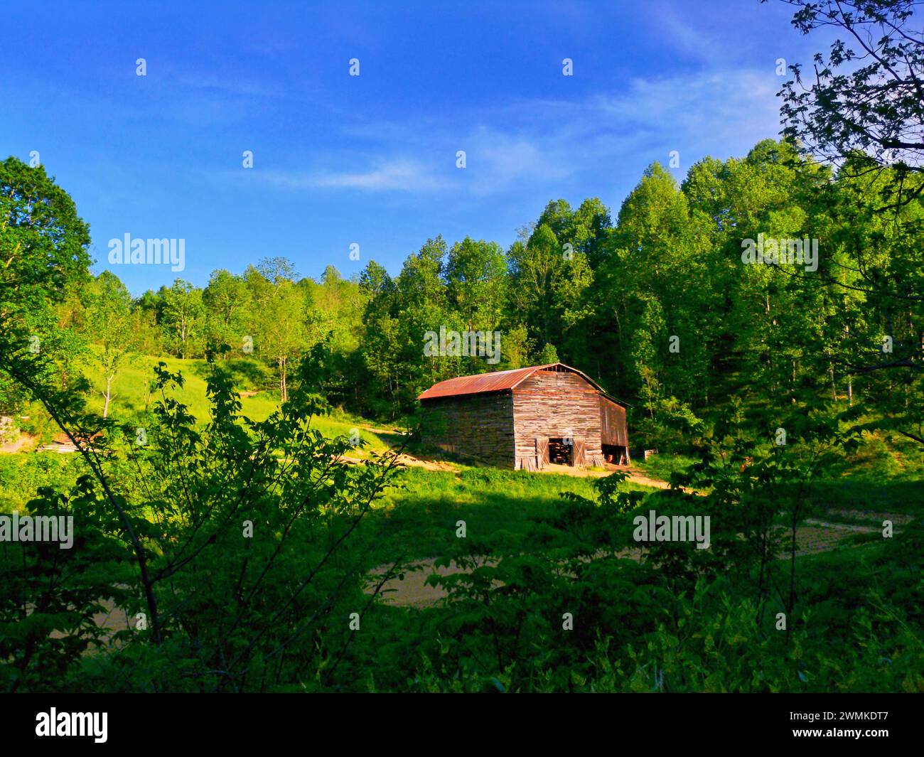 Vecchio fienile inalterato circondato da lussureggianti boschi verdi Foto Stock