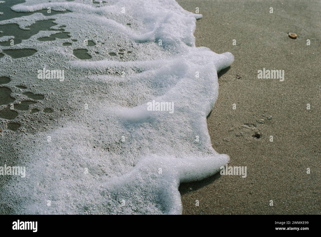 Schiuma marina nella sabbia; Topsail Island, North Carolina, Stati Uniti d'America Foto Stock