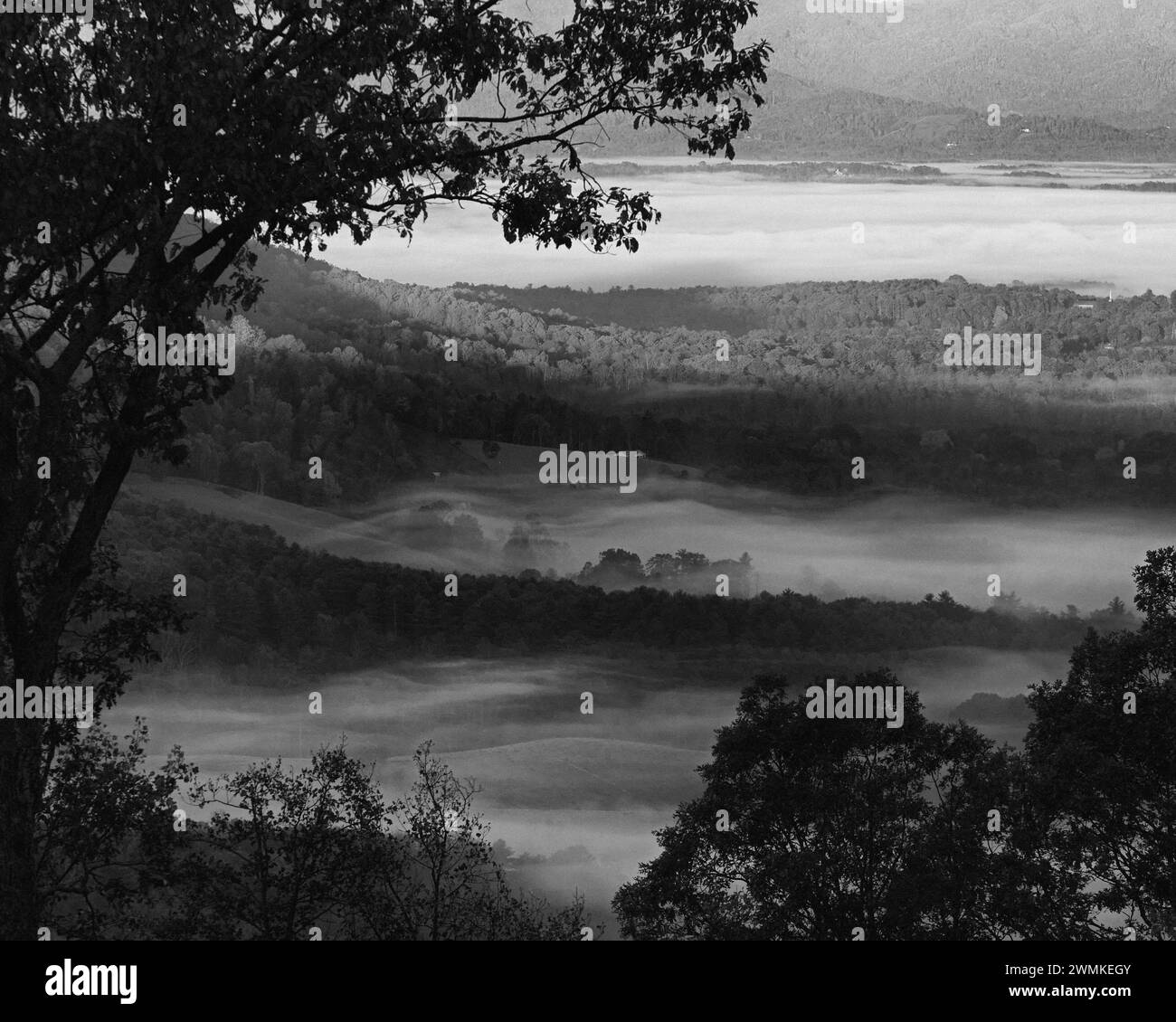La nebbia mattutina si snoda nella valle sottostante in una mattina d'autunno in questa vista in bianco e nero delle Blue Ridge Mountains, North Carolina, Stati Uniti Foto Stock