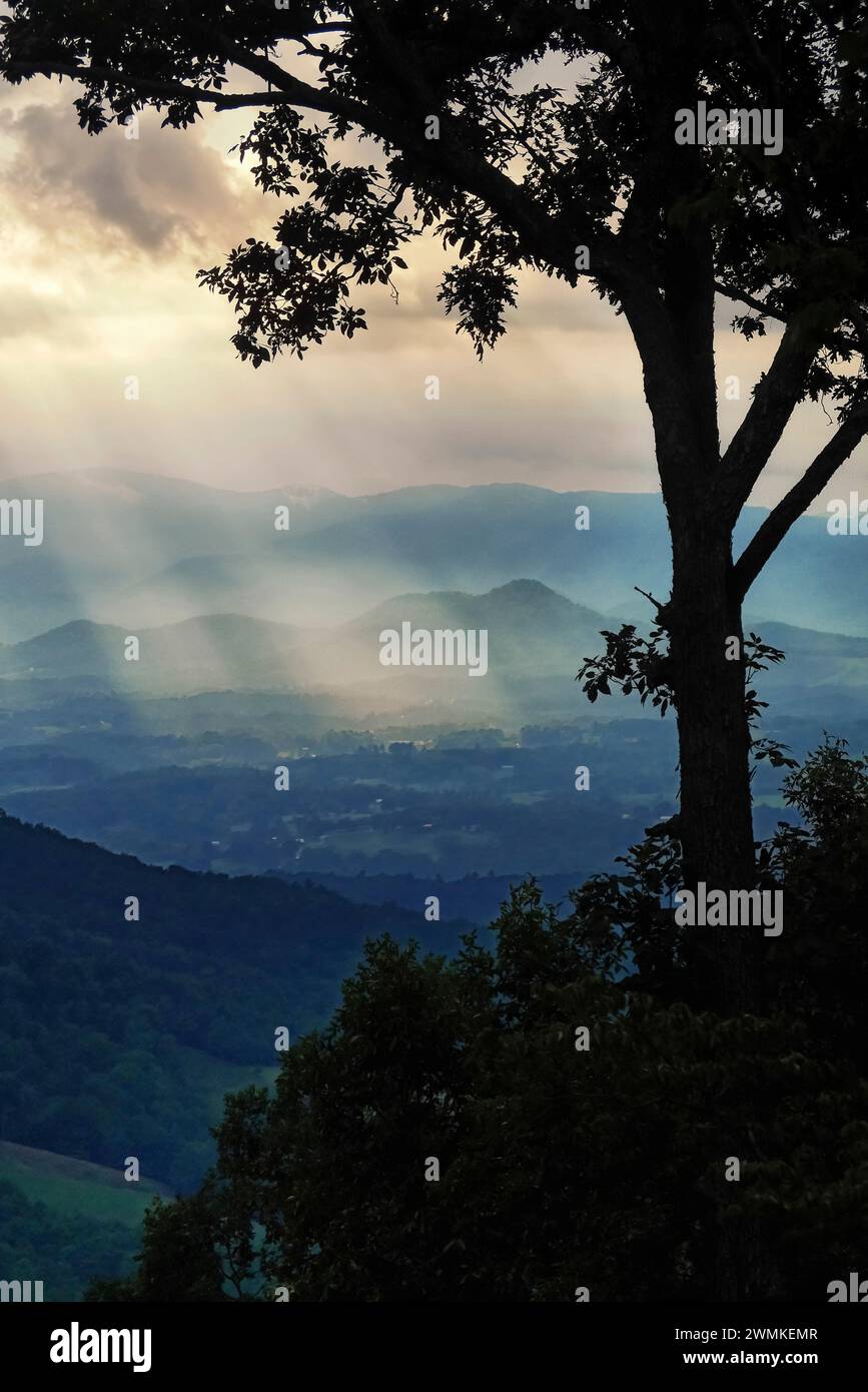 Un vecchio albero di quercia in silhouette si erge su una valle di montagna piena di raggi di luce al tramonto; Weaverville, North Carolina, Stati Uniti d'America Foto Stock