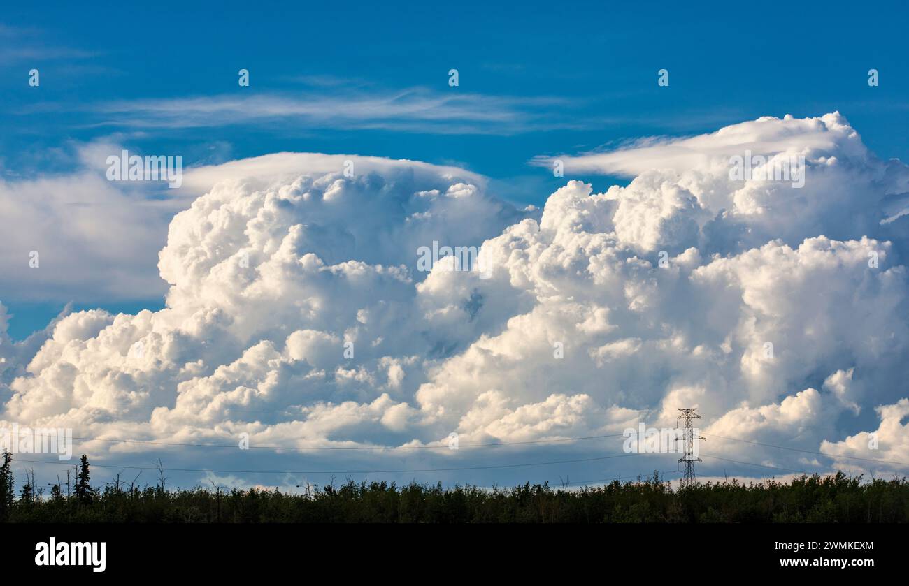 Grandi nuvole di tempesta che si formano all'orizzonte dietro grandi linee di trasmissione di energia in una calda serata estiva; Edmonton, Alberta, Canada Foto Stock