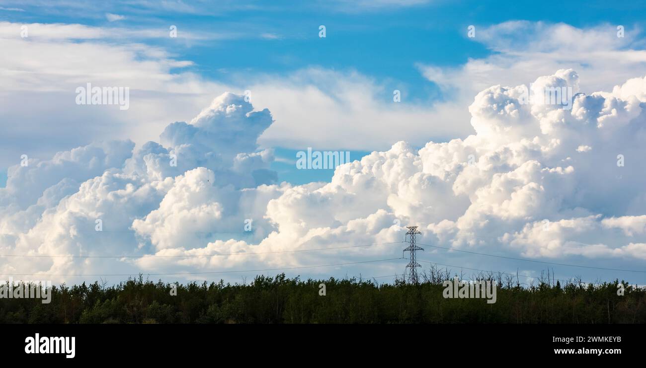 Grandi nuvole di tempesta che si formano all'orizzonte dietro grandi linee di trasmissione di energia in una calda serata estiva; Edmonton, Alberta, Canada Foto Stock