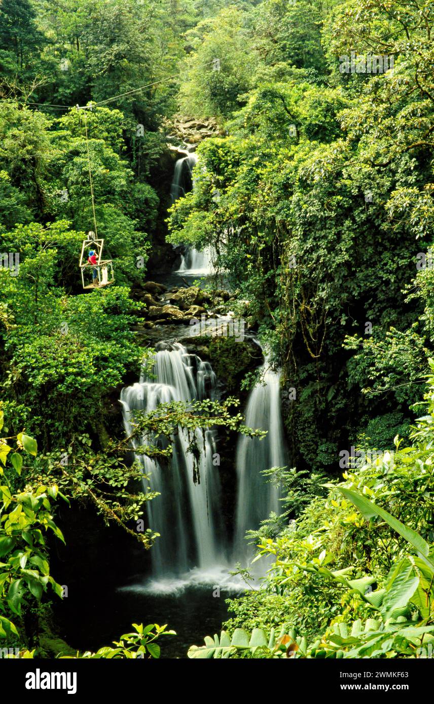 Il biologo utilizza una funivia aerea per esplorare la foresta in Costa Rica; Costa Rica Foto Stock
