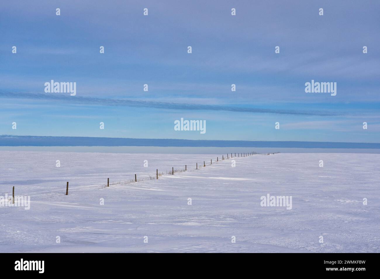 Paesaggio invernale nella campagna del Saskatchewan con una recinzione che porta in lontananza; Assiniboia, Saskatchewan, Canada Foto Stock