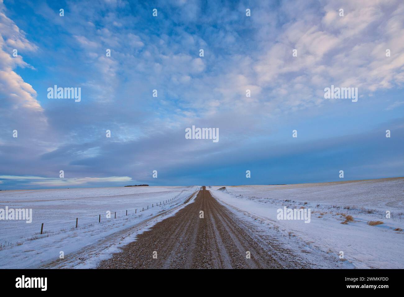 Strada che conduce in lontananza nel paesaggio invernale nella rurale Saskatchewan; Assiniboia, Saskatchewan, Canada Foto Stock