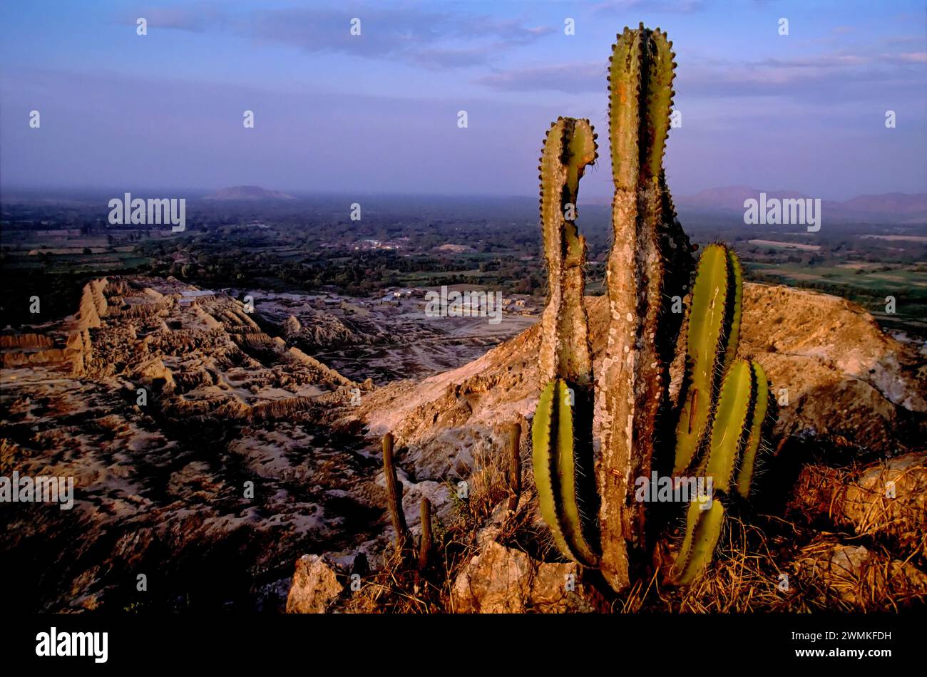 Il monte la Raya si affaccia sull'antica città di Tucume; Cerro la Raya, Tucume, Perù Foto Stock