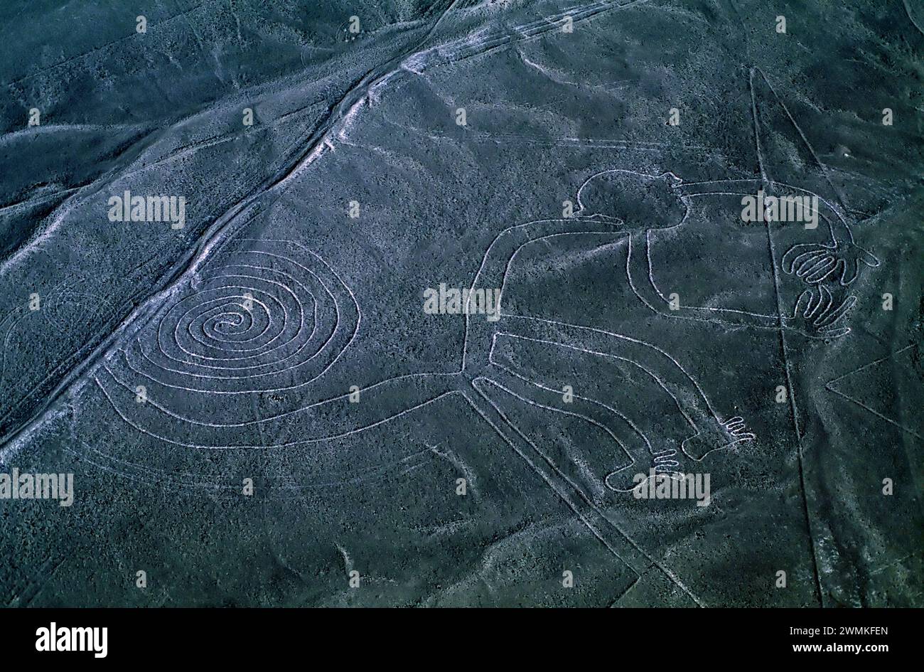 Le misteriose linee di Nazca formano una scimmia nel deserto del Perù meridionale. Altri animali e forme geometriche si vedono meglio dall'aria. Antropologi... Foto Stock