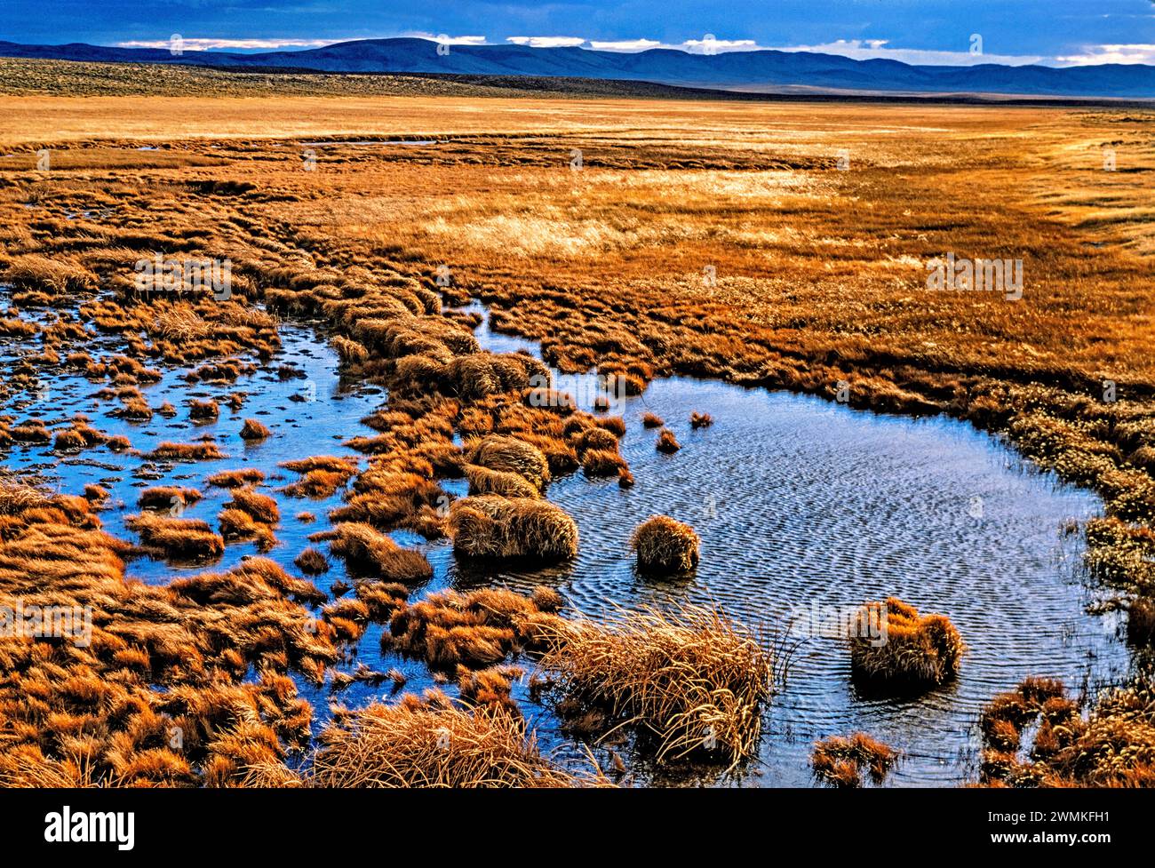 I vagoni attraversano le strade seguendo vari sentieri che attraversano il Wyoming sulla loro strada verso ovest alla fine degli anni '1800 I resti dei loro sentieri si incrociano... Foto Stock