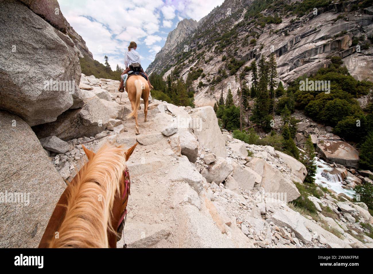 I cavalli vengono cavalcati attraverso il King's Canyon National Park, California, USA, California, Stati Uniti d'America Foto Stock