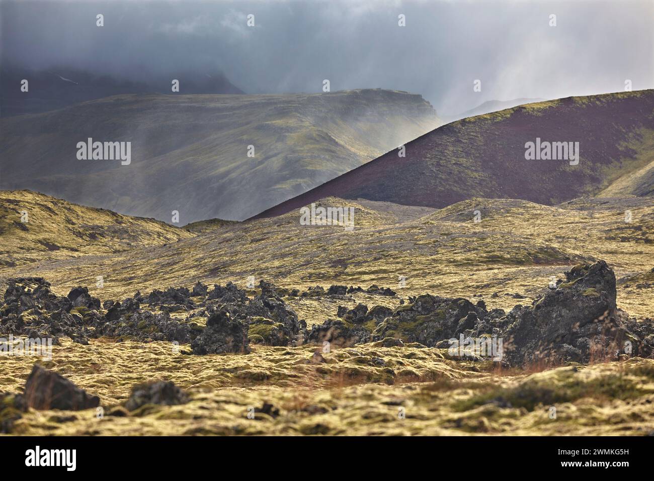 La pioggia cade sul campo di lava di Berserkjahraun sulla penisola di Snaefellsnes, Islanda occidentale; Islanda Foto Stock