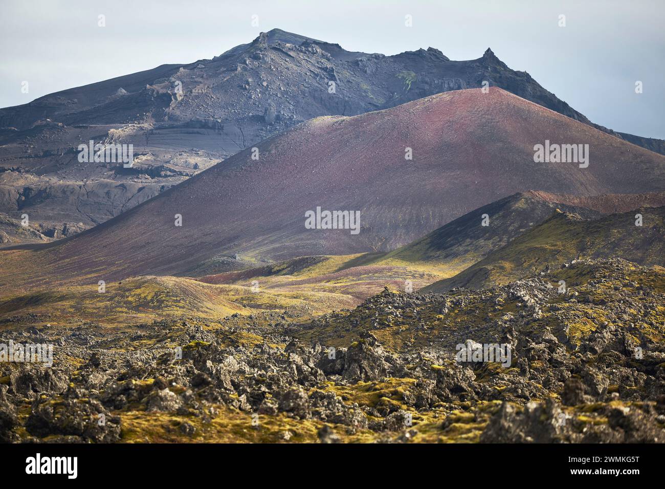 Campo di lava di Berserkjahraun sulla penisola di Snaefellsnes, Islanda occidentale; Islanda Foto Stock