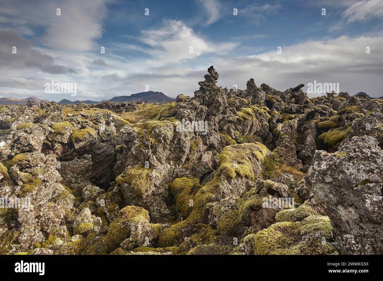 Campo di lava di Berserkjahraun, sulla penisola di Snaefellsnes, Islanda occidentale; Islanda Foto Stock