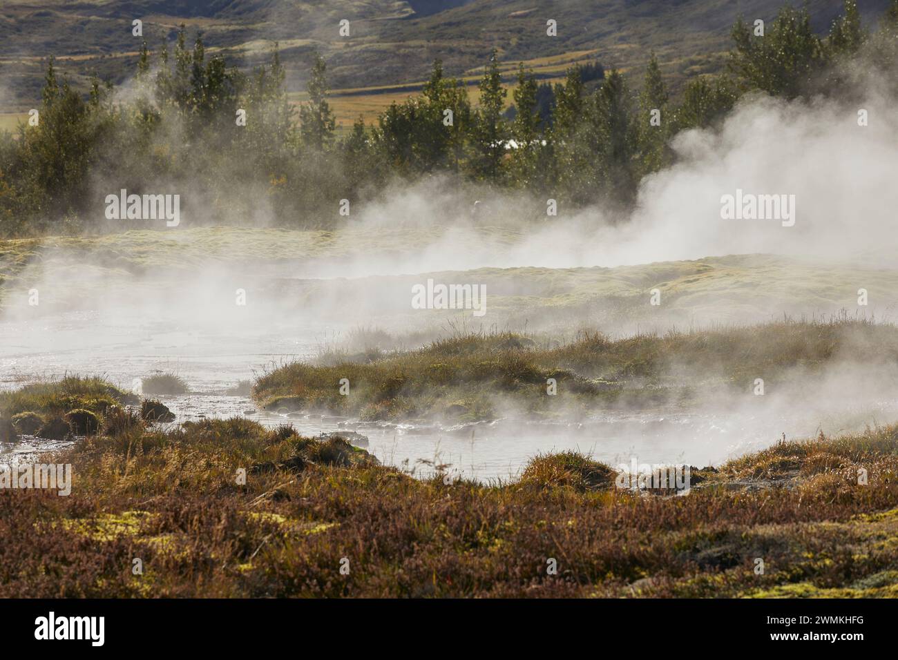 Piscine fumanti e bollenti in Islanda; Geysir, Golden Circle, Islanda Foto Stock