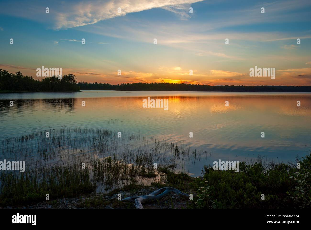 Tramonto sereno sul lago Graham, nel Maine, Stati Uniti. Cielo colorato riflesso sulle acque ondulate. Vegetazione acquatica sulla costa. Foto Stock