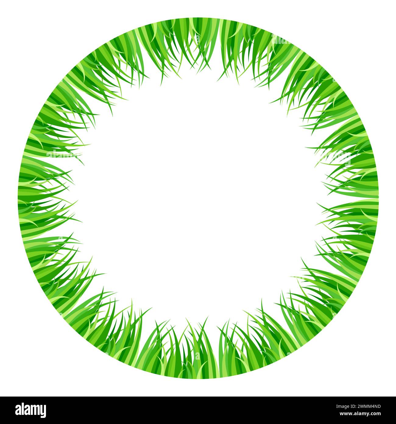 Erba verde disposta all'interno di un cerchio. Cornice circolare colorata, sfondo e bordo circolare decorativo, realizzati con fresche lame d'erba. Foto Stock