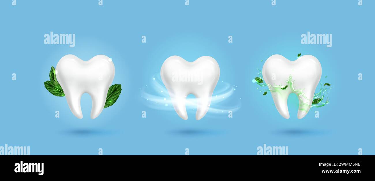 Dente sano brillante bianco con vortici di aria fresca, foglie di menta verde e spruzzi di liquido trasparente. Concetto realistico di igiene dentale vettoriale 3D. bagliore molare con materiali curativi per il design dentista. Illustrazione Vettoriale