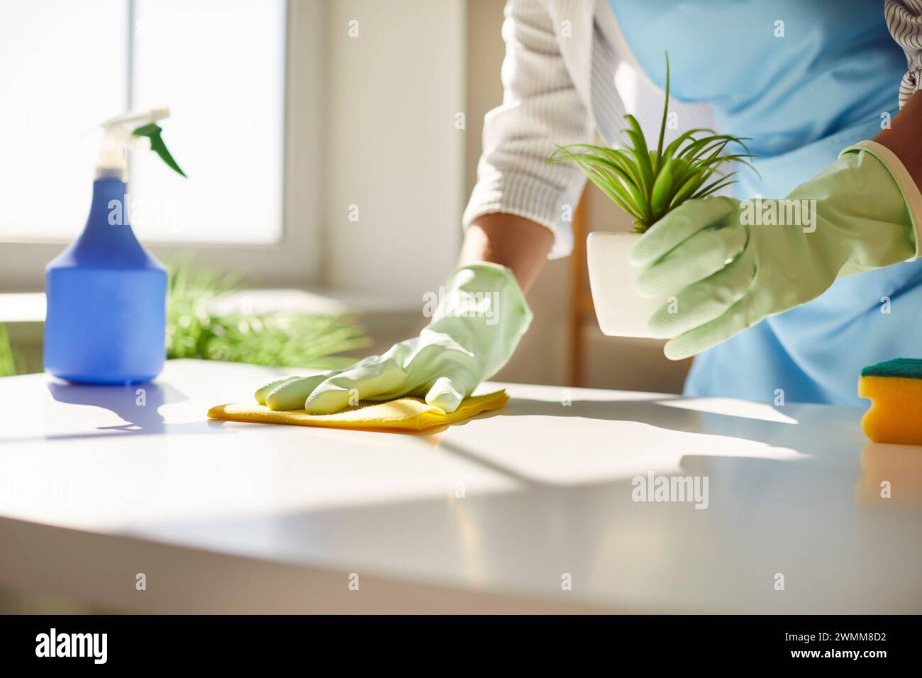 La casalinga che indossa guanti in gomma pulisce la casa e pulisce la superficie del tavolo con un panno bagnato Foto Stock