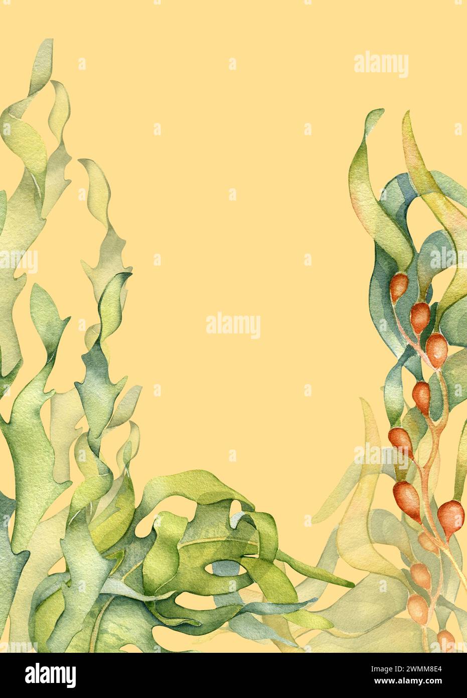 Cornice ad acquerello dell'illustrazione laminaria isolata su sfondo beige. Alghe di Ascophyllum disegnate a mano. Piante marine dipinte, alghe alle erbe. Elemento di progettazione Foto Stock