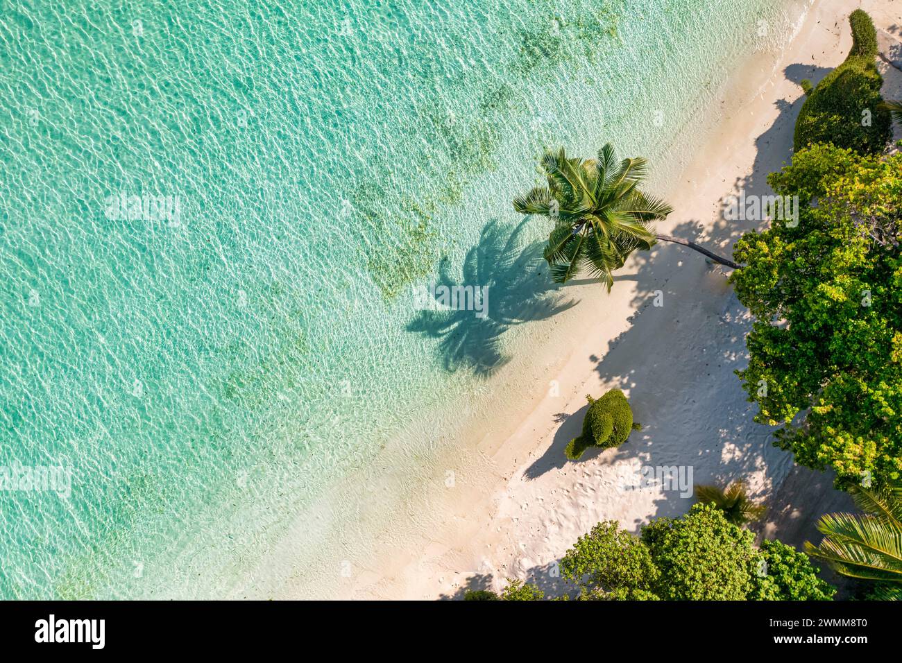 Vista dall'alto sulla spiaggia di sabbia. Spiaggia tropicale con sabbia bianca e mare turchese, palme sotto la luce del sole. Vista panoramica su un drone, destinazione turistica di lusso Foto Stock