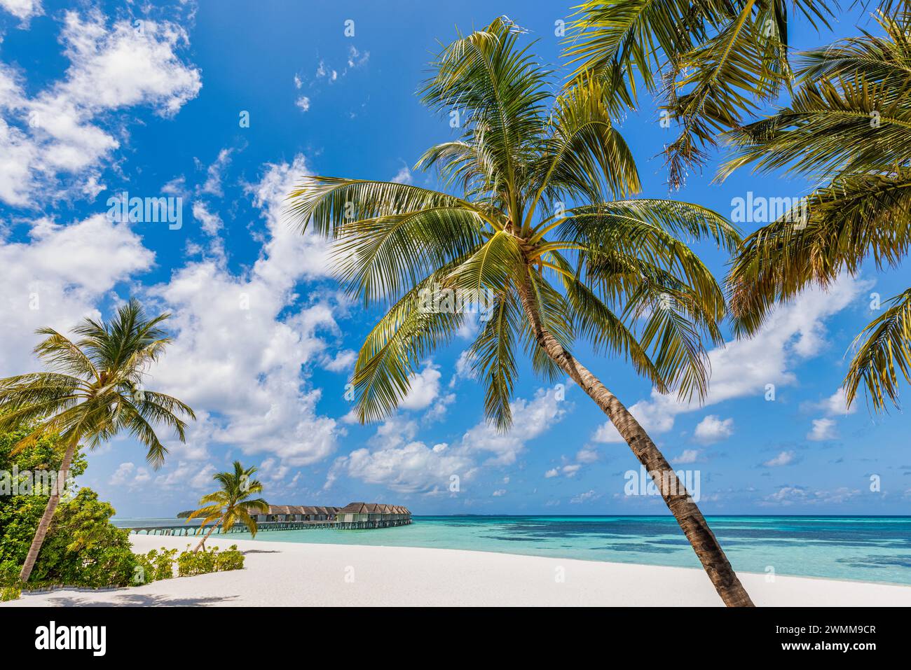 Spiaggia tropicale, Maldive. Il sentiero del molo nella tranquilla isola paradisiaca. Palme, sabbia bianca e mare blu, vacanza estiva perfetta paesaggio vacanza Foto Stock