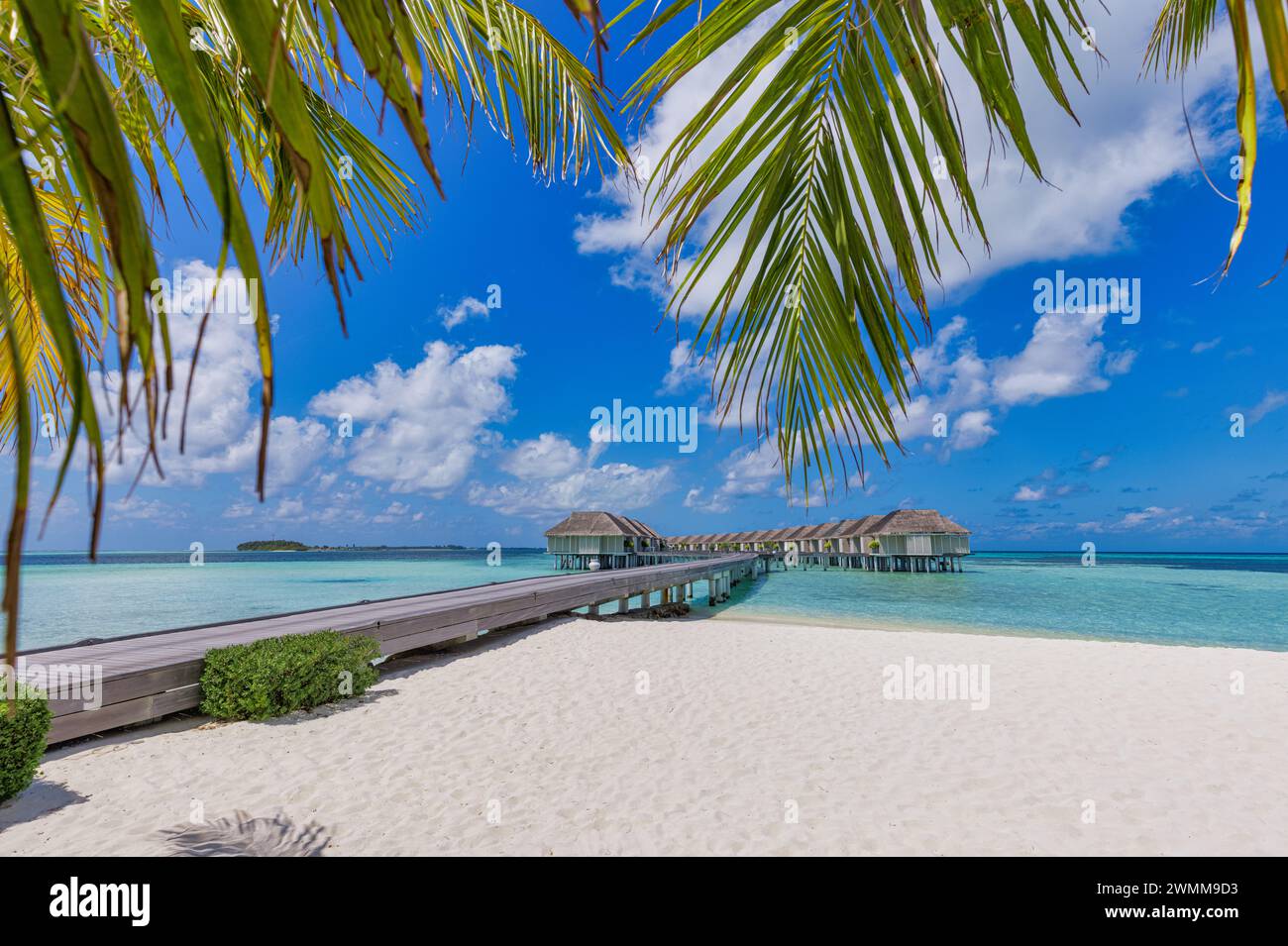 Spiaggia tropicale, Maldive. Il sentiero del molo nella tranquilla isola paradisiaca. Palme, sabbia bianca e mare blu, vacanza estiva perfetta paesaggio vacanza Foto Stock