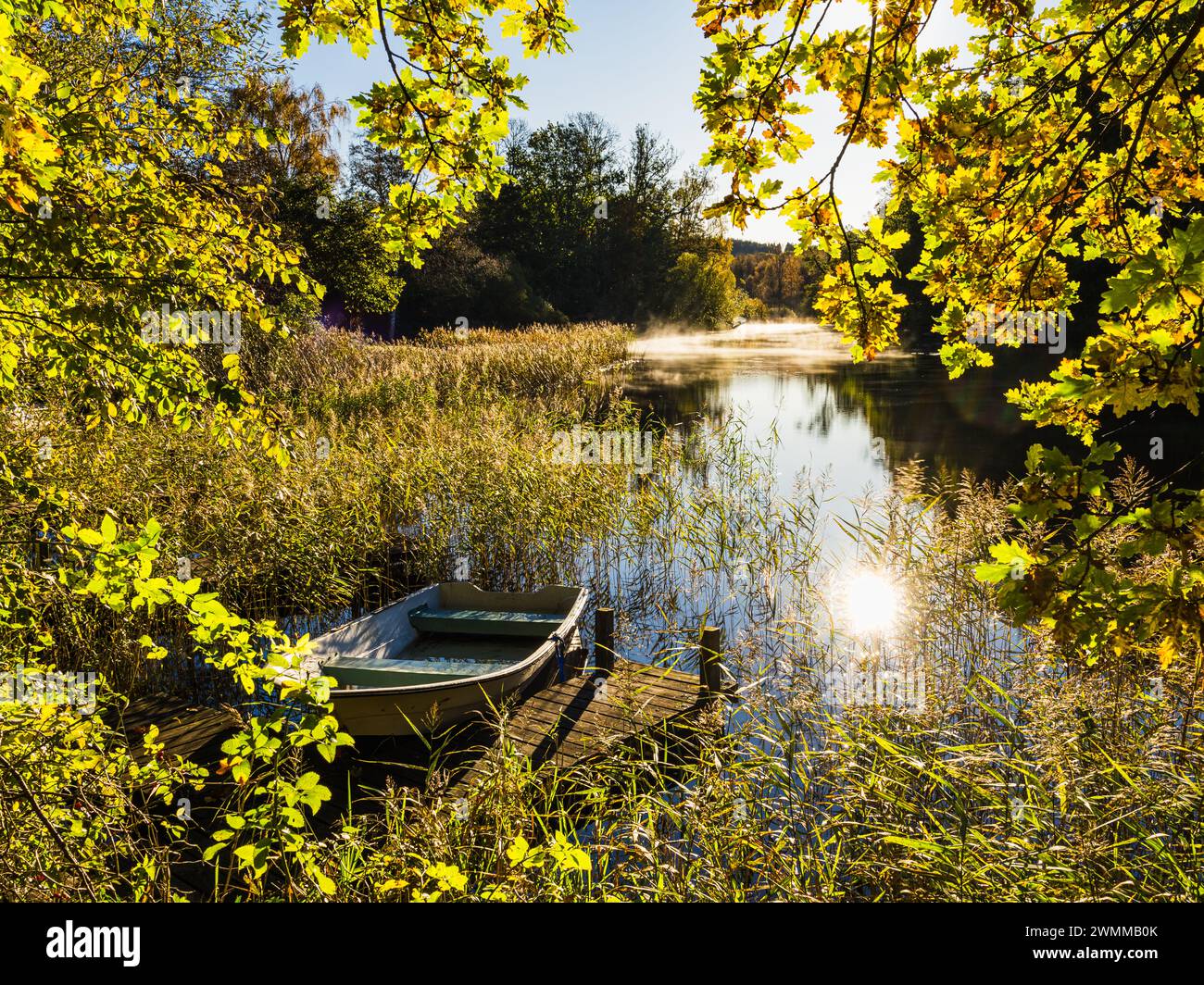 Una tranquilla scena si snoda lungo un fiume in Svezia, dove una barca a remi poggia su un piccolo molo di legno. Circondato dai colori vivaci delle foglie autunnali Foto Stock