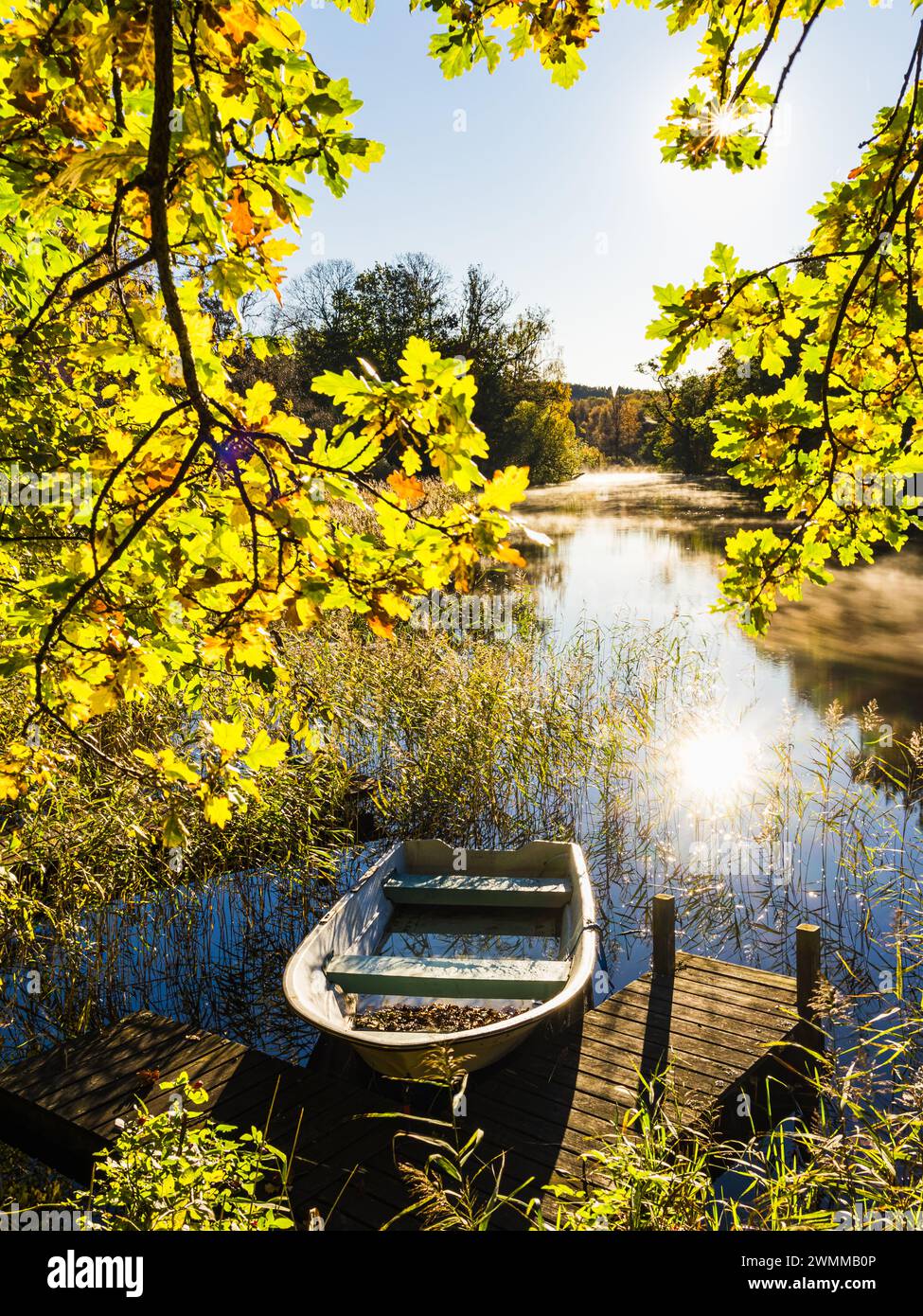Una tranquilla scena si snoda lungo un fiume in Svezia, dove una barca a remi poggia su un piccolo molo di legno. Circondato dai colori vivaci delle foglie autunnali Foto Stock