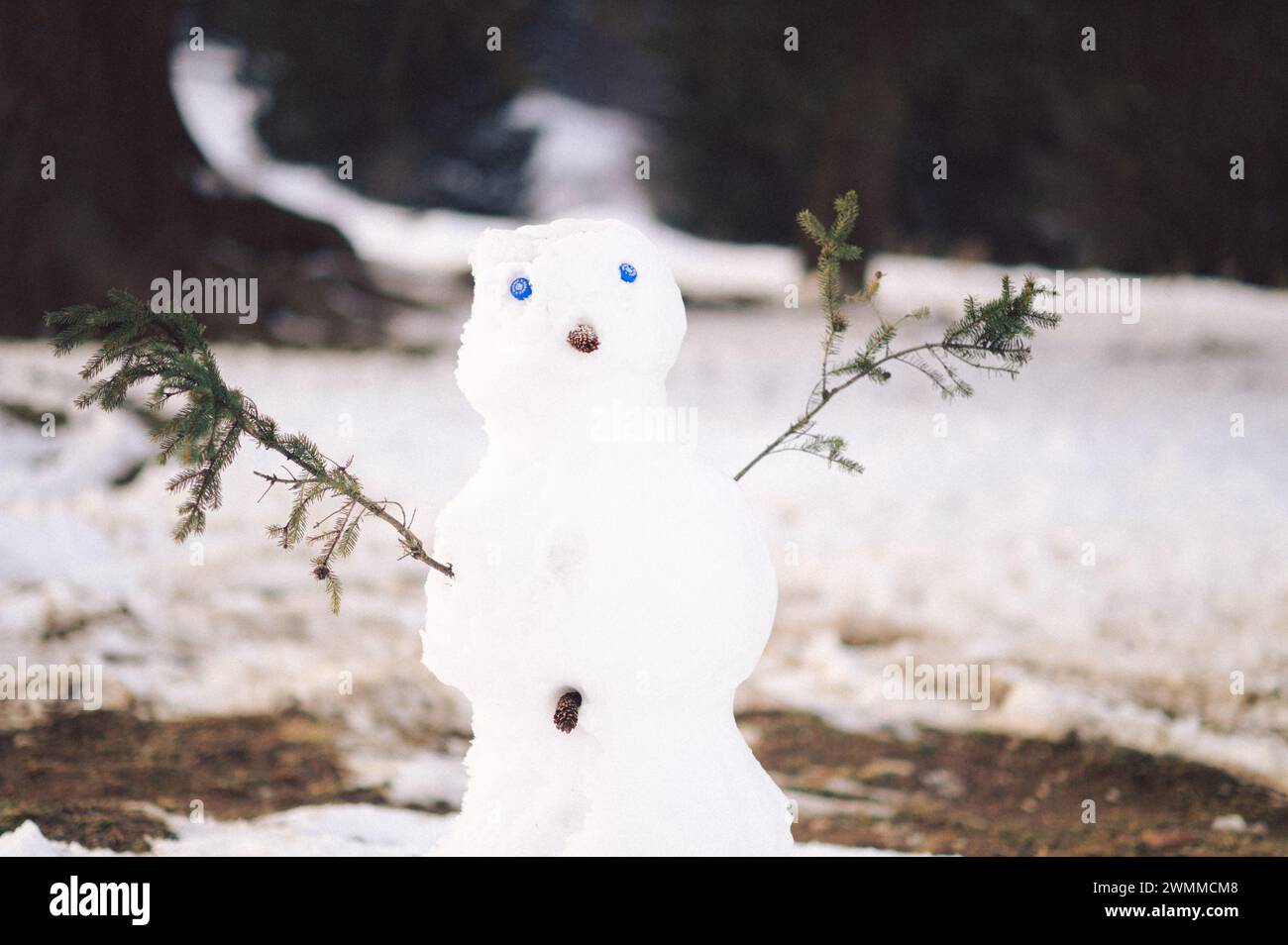 Un pupazzo di neve con gli occhi blu in piedi nella neve accanto agli alberi Foto Stock