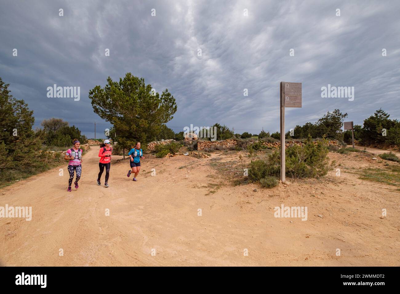 Tre donne che corrono, percorso verde Cala Saona, Formentera, Isole Pitiusas, Comunità Baleari, Spagna Foto Stock