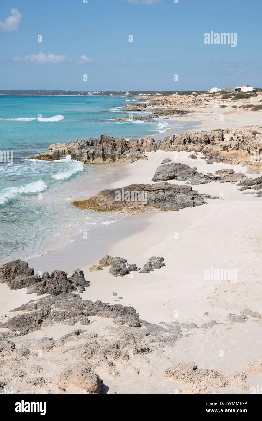 Es Arenals, spiaggia di Migjorn, Formentera, Isole Pitiusas, Comunità Baleari, Spagna Foto Stock