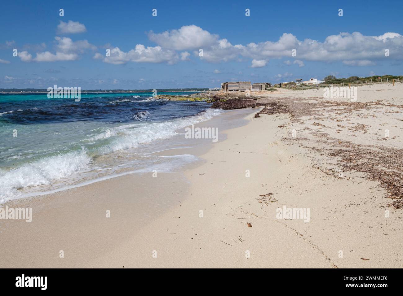 Spiaggia di Migjorn, Formentera, Isole Pitiusas, Comunità Baleari, Spagna Foto Stock