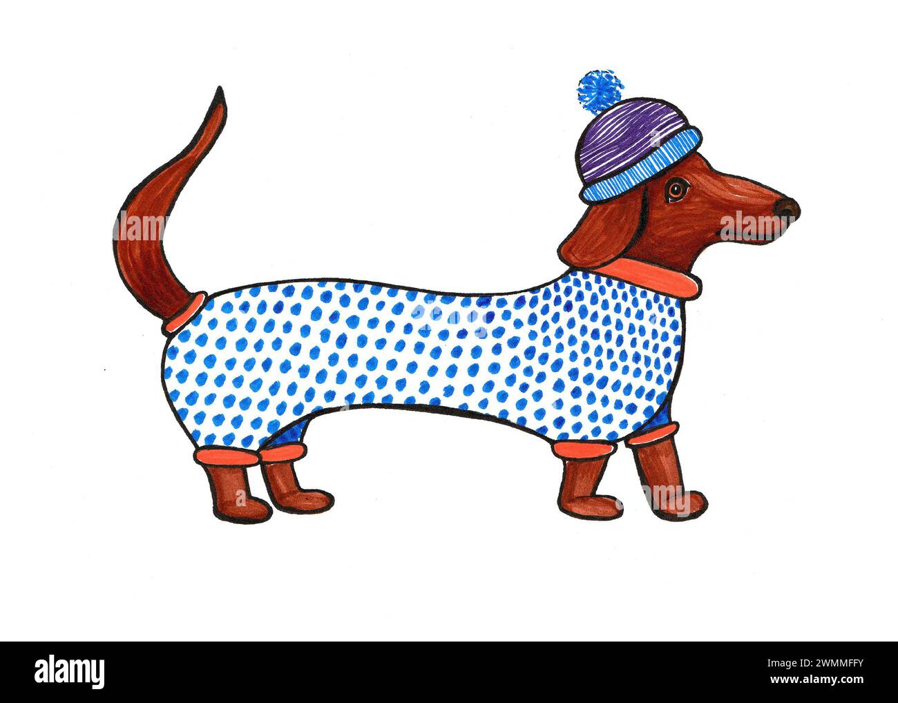 Illustrazione di un cane da dachshund con un vestito e un cappello. Isolato su sfondo bianco. Disegno con marcatori colorati e contorno nero. Cane stilizzato in profi Foto Stock