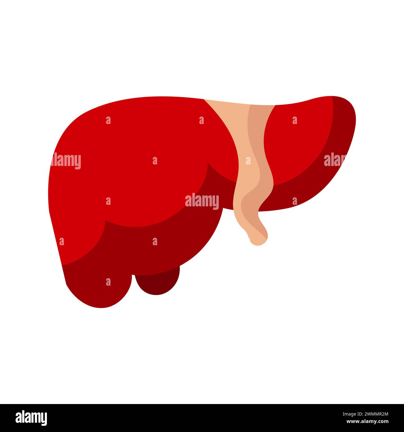 Illustrazione grafica Design Concept anatomia corpo simbolo umano Logo realistico del fegato Illustrazione Vettoriale