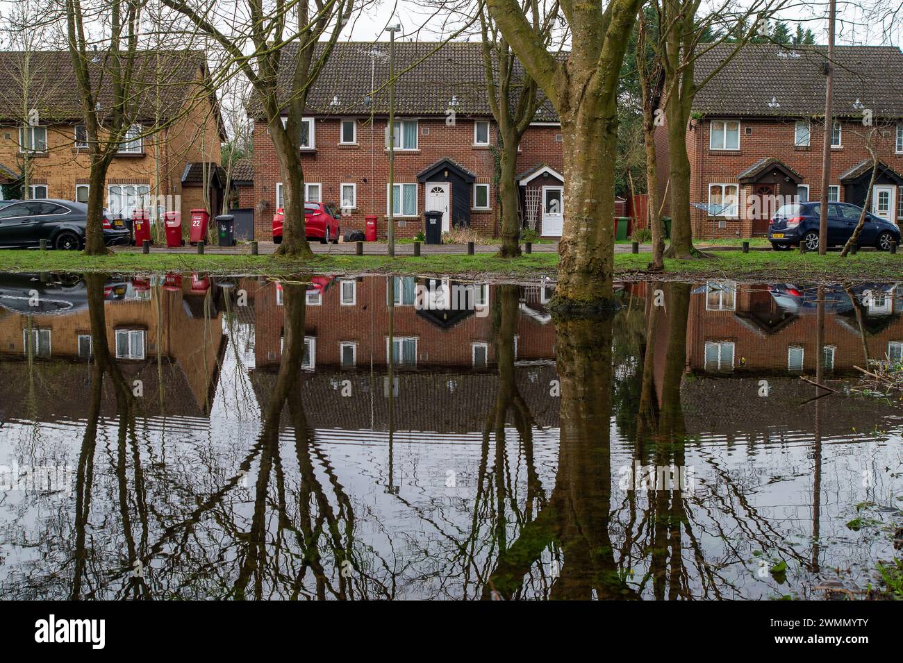 Colnbrook, Slough, Berkshire, Regno Unito. 27 febbraio 2024. Acqua del Colne Brook a Colnbrook, Slough, Berkshire. Un allarme alluvione è in atto per il Colne Brook a Iver e Colnbrook nel Berkshire. Crediti: Maureen McLean/Alamy Live News Foto Stock
