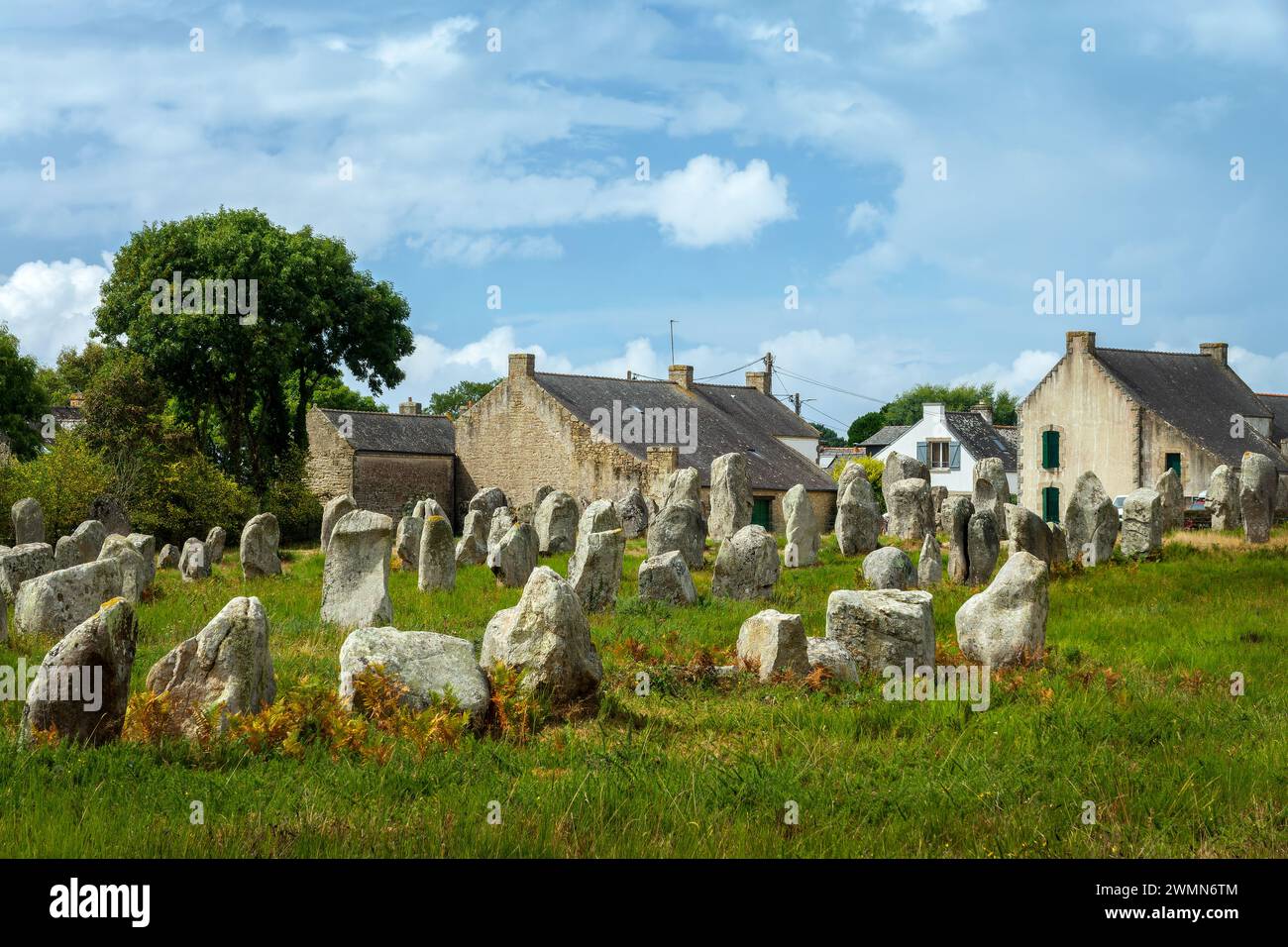 Pietre in piedi (o menhirs) nel Menec allineamento a Carnac, Morbihan, Bretagna, Francia Foto Stock