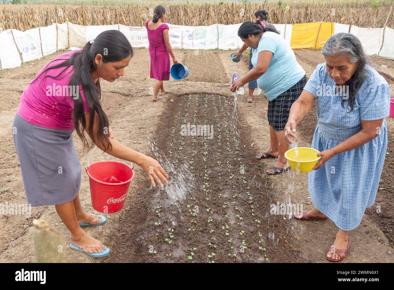 Donne che coltivano insieme in una comunità Foto Stock