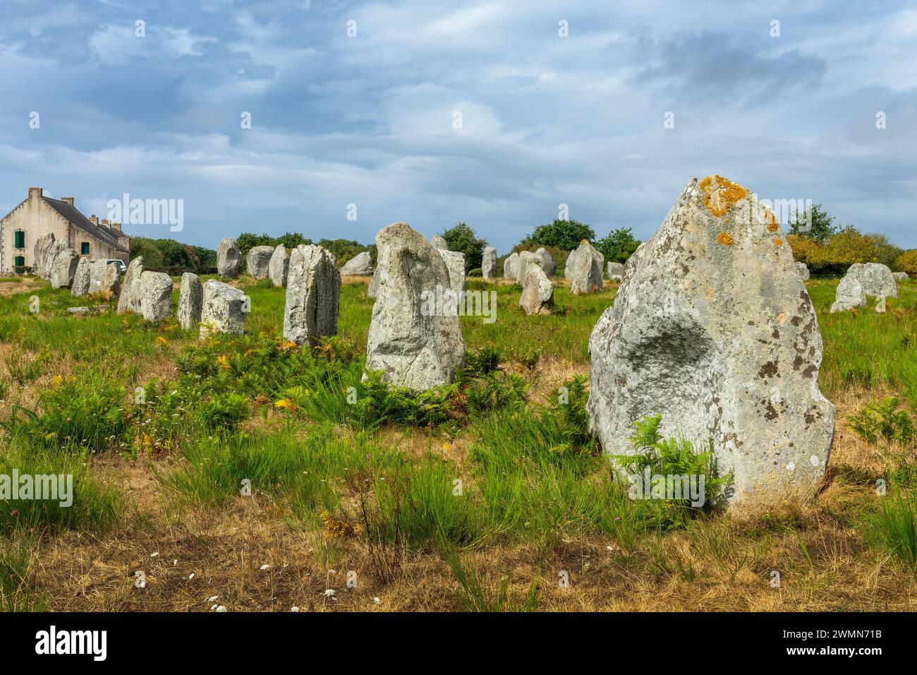 Pietre in piedi (o menhirs) nel Menec allineamento a Carnac, Morbihan, Bretagna, Francia Foto Stock