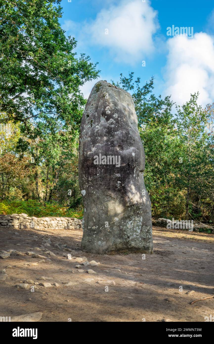 Géant du Mario, una grande pietra di megalite (o Menhir) a Carnac, Morbihan, Bretagna, Francia Foto Stock
