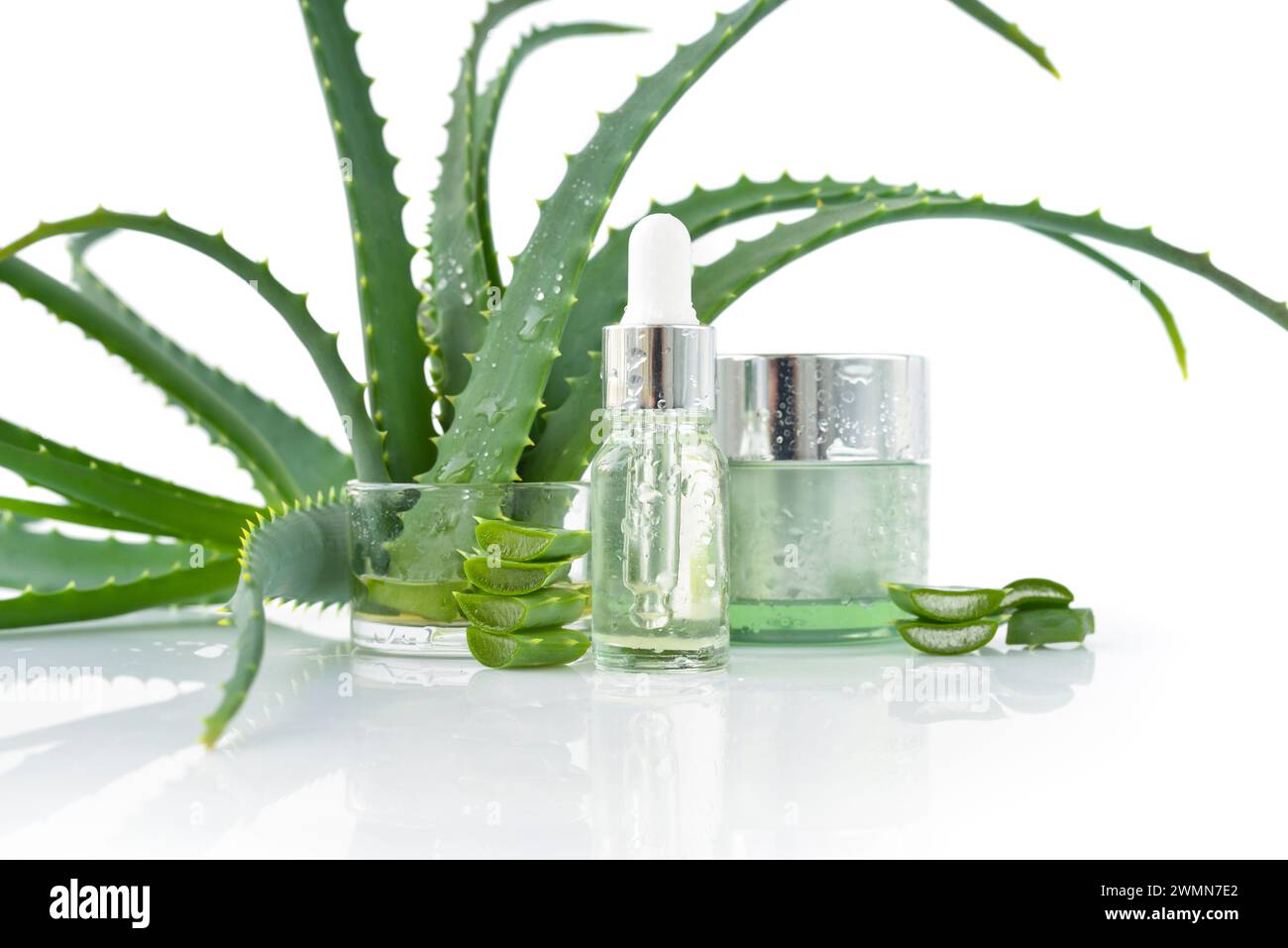 Foglie e fette di aloe vera fresche, panna, siero cosmetico con estratto di aloe vera in un contenitore di vetro con pipetta su sfondo bianco. Cosmetici naturali Foto Stock