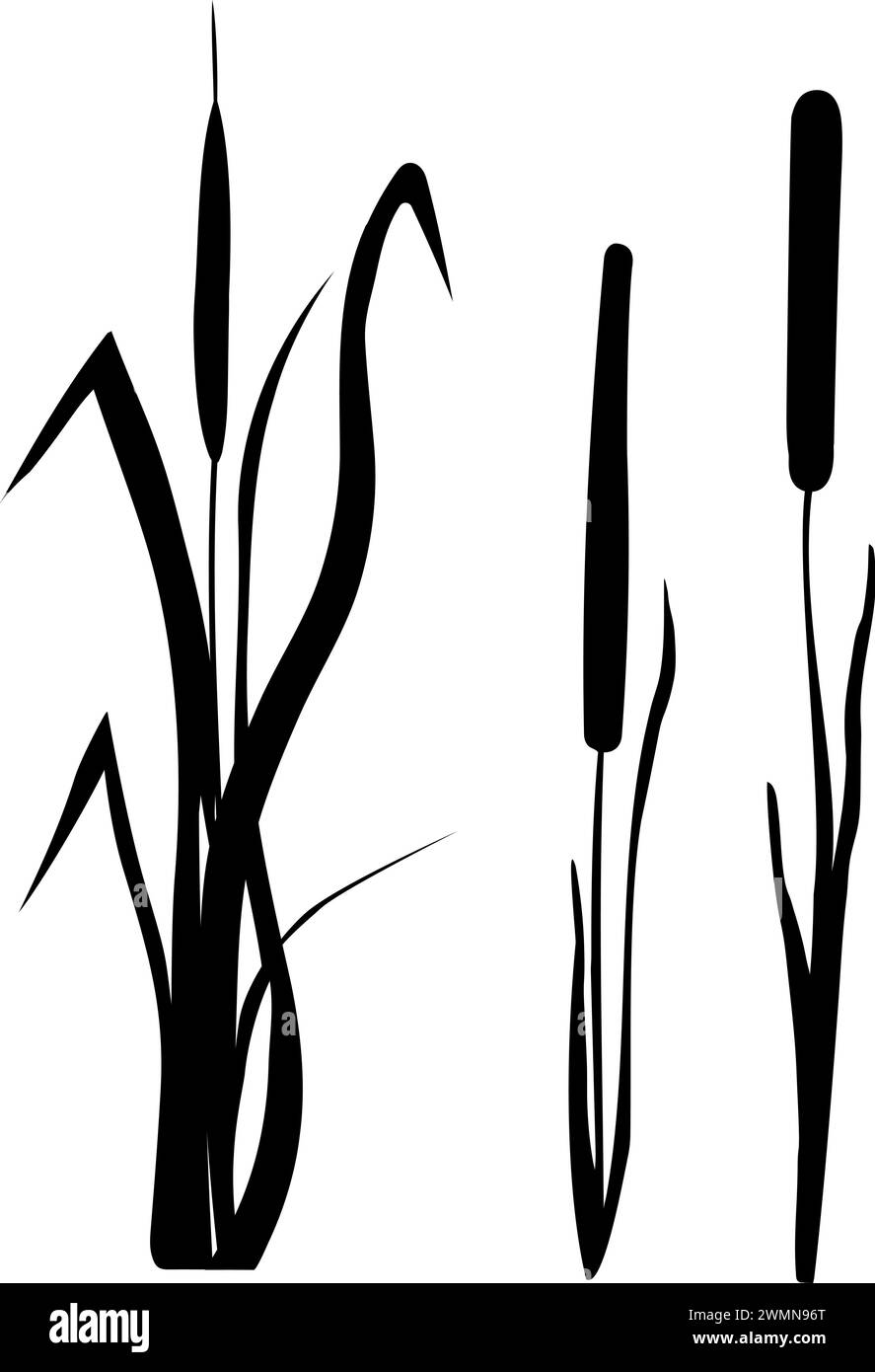 Sagoma grafica in erba nera.immagine di una canna monocromatica, erba o bulrush su sfondo bianco.disegno vettoriale isolato. Illustrazione Vettoriale