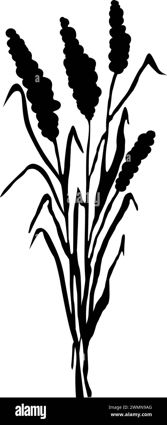 Sagoma grafica in erba nera.immagine di una canna monocromatica, erba o bulrush su sfondo bianco.disegno vettoriale isolato. Illustrazione Vettoriale