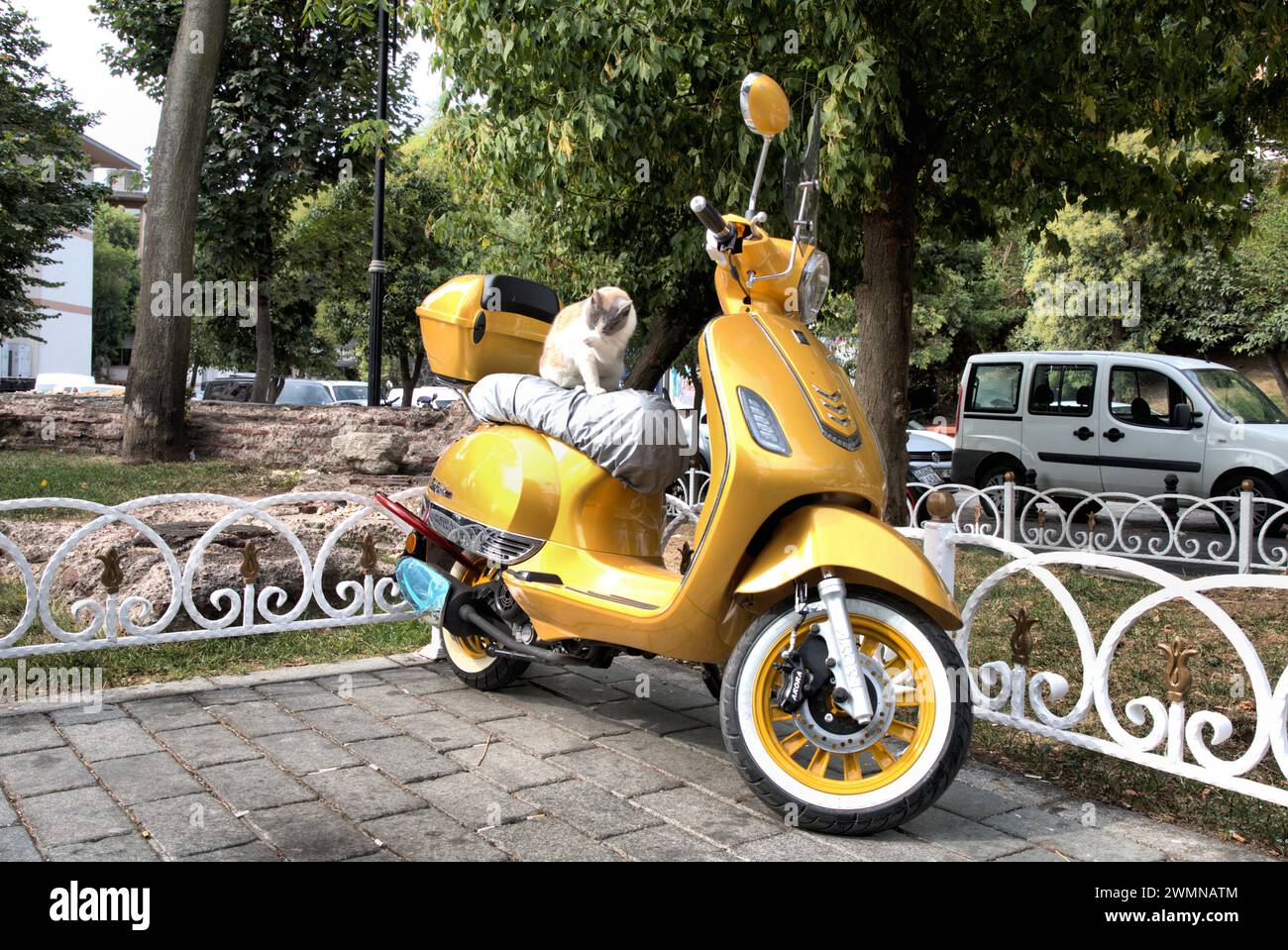 Istanbul, Turchia, giorno di sole, moto gialla, scooter, gatto da strada rilassato Foto Stock