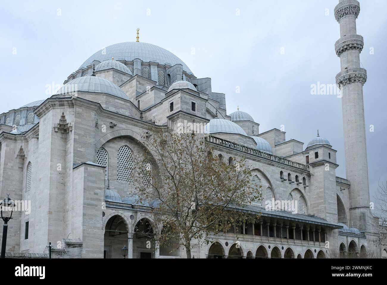 La Moschea Yeni Cami la nuova Moschea di Istanbul, Turchia. Cupole della moschea Yeni Cami in una giornata nuvolosa. Foto di viaggio, spazio per copiare il testo Foto Stock