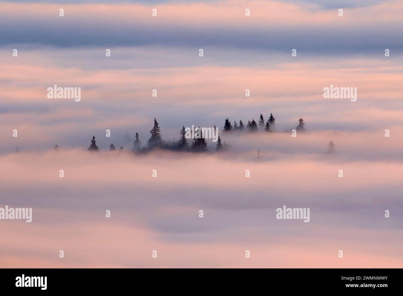 Willamette Valley nebbia dal vertice, Spencer Butte Park, Eugene, Oregon Foto Stock